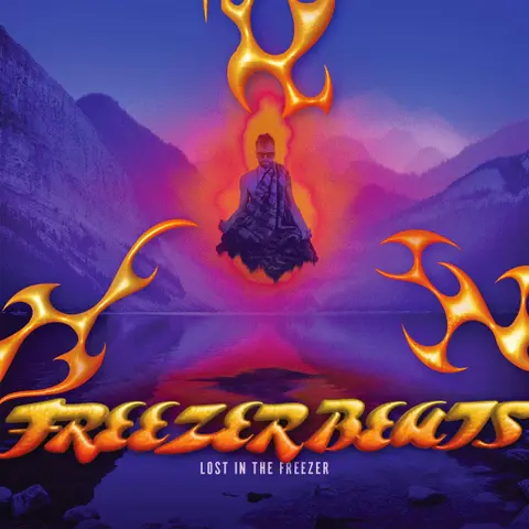 Freezer Beats – CD Lost In The Freezer