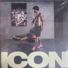 CD ICON