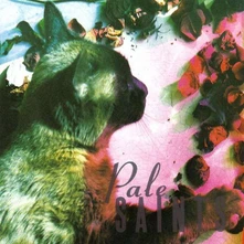 Pale Saints, Vinyl COMFORTS OF MADNESS