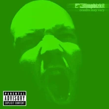 Limp Bizkit, CD Result May Vary