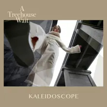 KALEIDOSCOPE thumbnail