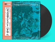 Vinyl DISAPPOINTMENT-HATERUMA