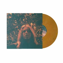 Turnover, Vinyl PERIPHERAL VISION