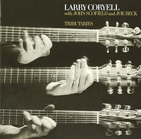 Larry Coryell – CD TRIBUTARIES