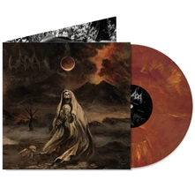 Vinyl DEVOID OF LIGHT