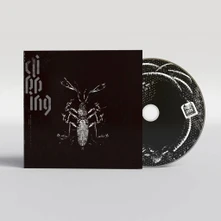 clipping., CD DEAD CHANNEL SKY