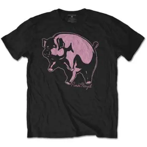 Pig