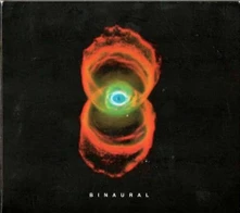 Pearl Jam, Vinyl Binaural