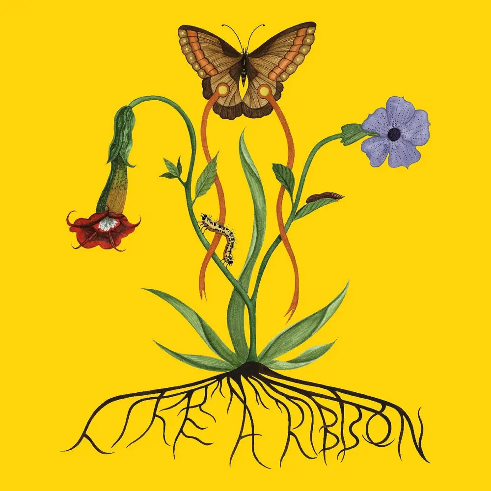 LIKE A RIBBON