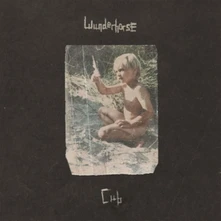 Wunderhorse, CD CUB