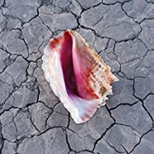 The Killers, CD WONDERFUL WONDERFUL/SOFTPA