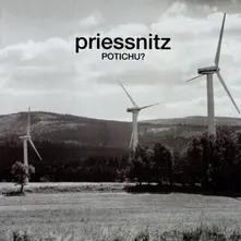 PRIESSNITZ  POTICHU? (REEDICIA) (CD)
