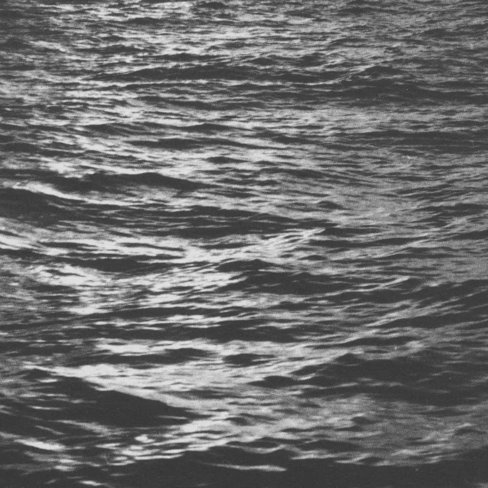 MUSIC FOR TWO FILMS ABOUT WATER (CD)
