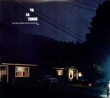 Yo La Tengo, Vinyl AND THEN NOTHING TURNED ITSELF INSIDE-OUT