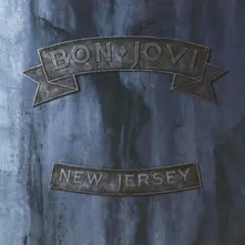 Vinyl New Jersey