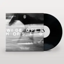 Vinyl WIDE OPEN, HORSES