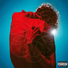 CD THE PAIN THAT SHAPES US