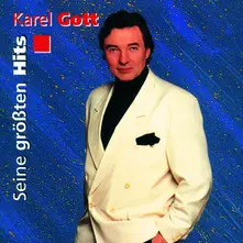CD SEINE GROSSTEN HITS