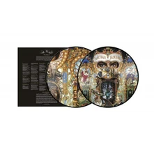 Vinyl Dangerous (Picture Vinyl)
