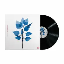 Matt Berninger, Vinyl GET SUNK