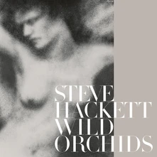 Steve Hackett, Vinyl Wild Orchids (Vinyl Re-Issue 2023)