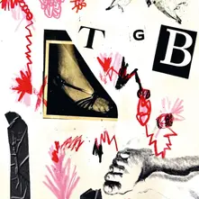 Teri Gender Bender, Vinyl TGB