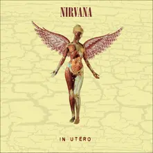 In Utero (30th Anniversary Edition) thumbnail