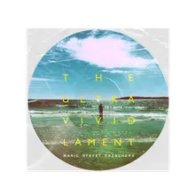 The Ultra Vivid Lament (12" Picture Disc) thumbnail
