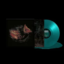 Vinyl NOBODY'S COMING TO SAVE YOU