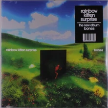 Rainbow Kitten Surprise, Vinyl BONES