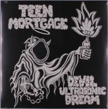 Vinyl DEVIL ULTRASONIC DREAM