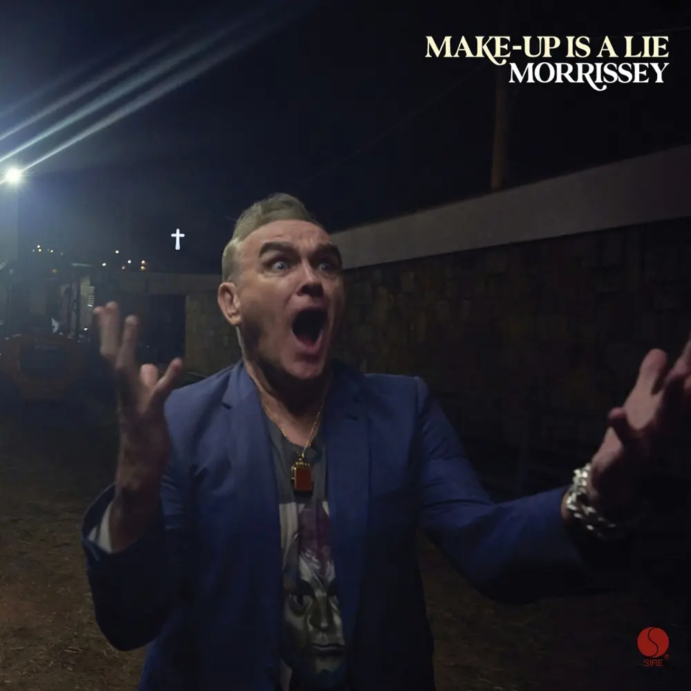 MAKE-UP IS A LIE (LIMITED PICTURE VINYL)