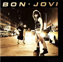 Vinyl Bon Jovi