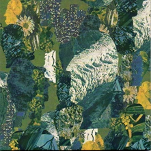 CD CALYPSO