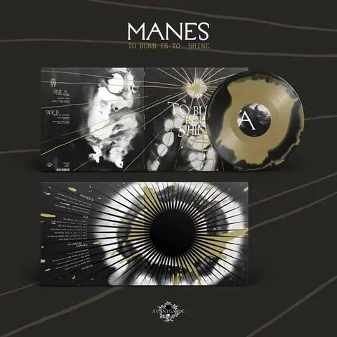 Vinyl TO BURN IS TO SHINE