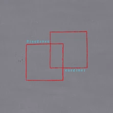 Pinegrove, Vinyl CARDINAL
