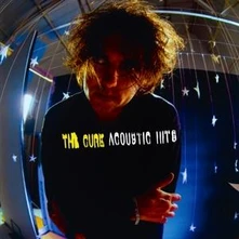 Vinyl ACOUSTIC HITS