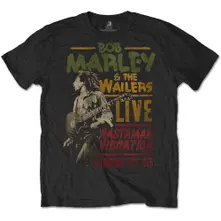 Rastaman Vibration Tour 1976 thumbnail