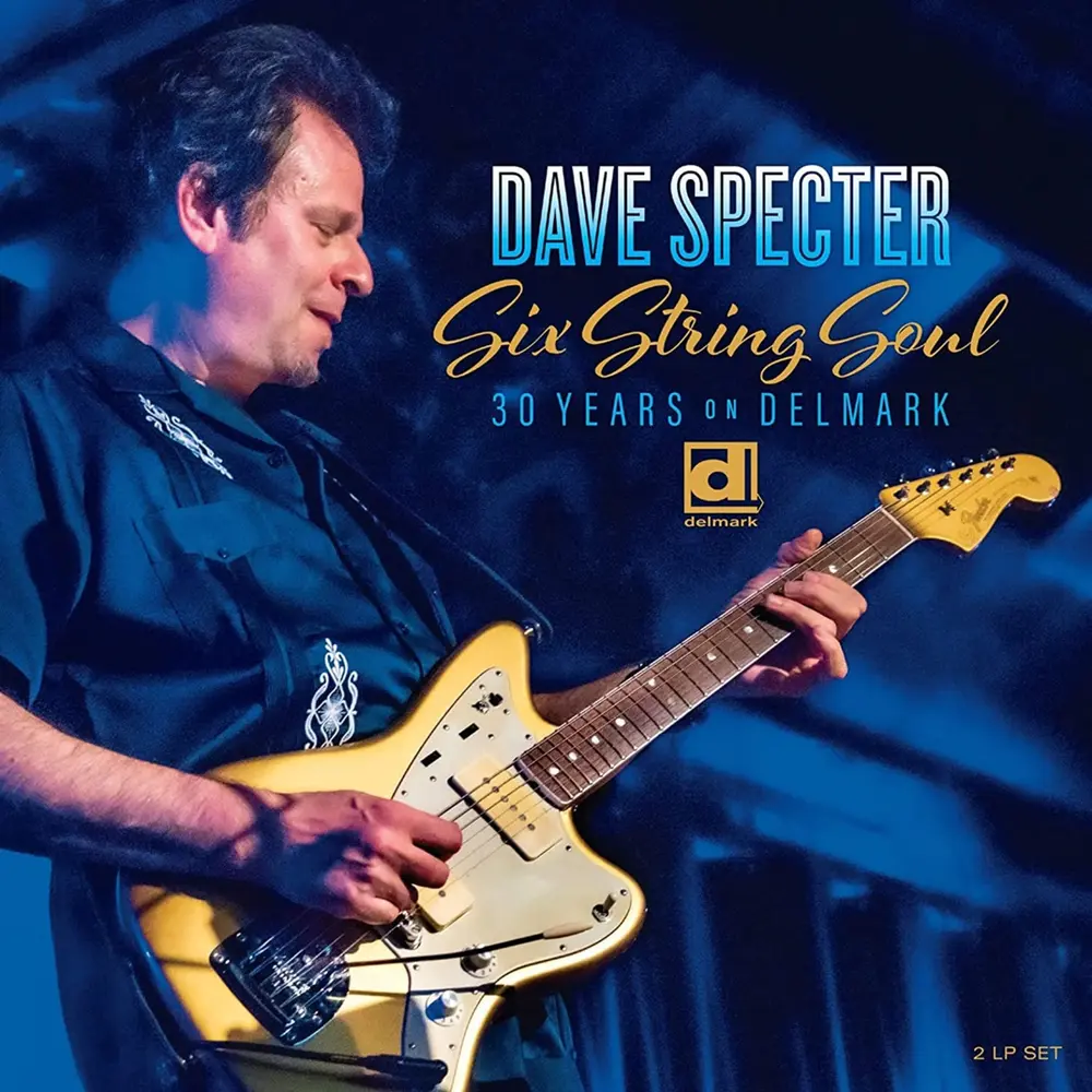SIX STRING SOUL. 30 YE...