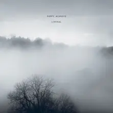 Poppy Ackroyd, Vinyl LIMINAL