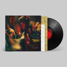 Queens of the Stone Age, Vinyl PERFECTH