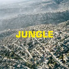 Vinyl JUNGLE