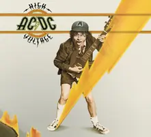 Vinyl High Voltage