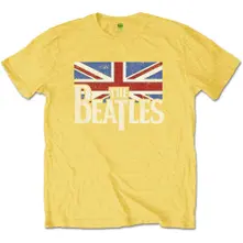 Logo & Vintage Flag thumbnail