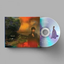 Sharon Van Etten, CD WE'VE BEEN GOING ABOUT THIS ALL WRONG