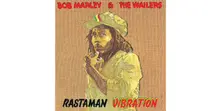 CD RASTAMAN VIBRATION