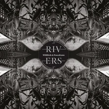 Wildbirds & Peacedrums, Vinyl RIVERS