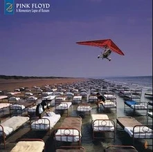 Vinyl A MOMENTARY LAPSE OF REASON