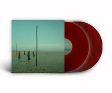Devil's Witches, Vinyl IN ALL HER FORMS