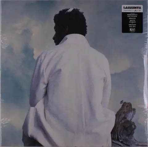 Labrinth – Vinyl MISFIT KID